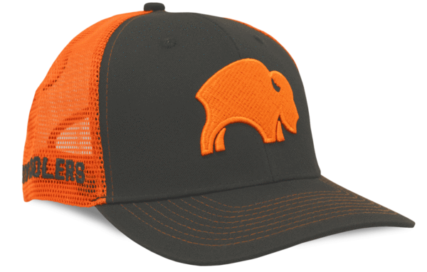 Bison Mesh Trucker Hat